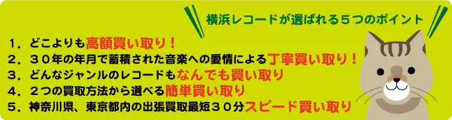 選ばれる理由のバナー説明文と猫込